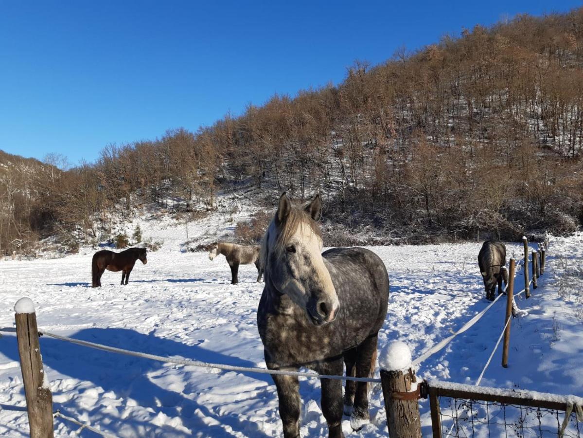 Agriturismo Casa Castellini Garbagna 외부 사진
