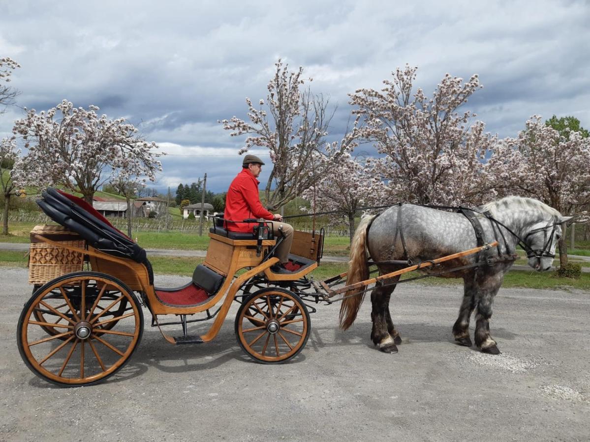 Agriturismo Casa Castellini Garbagna 외부 사진